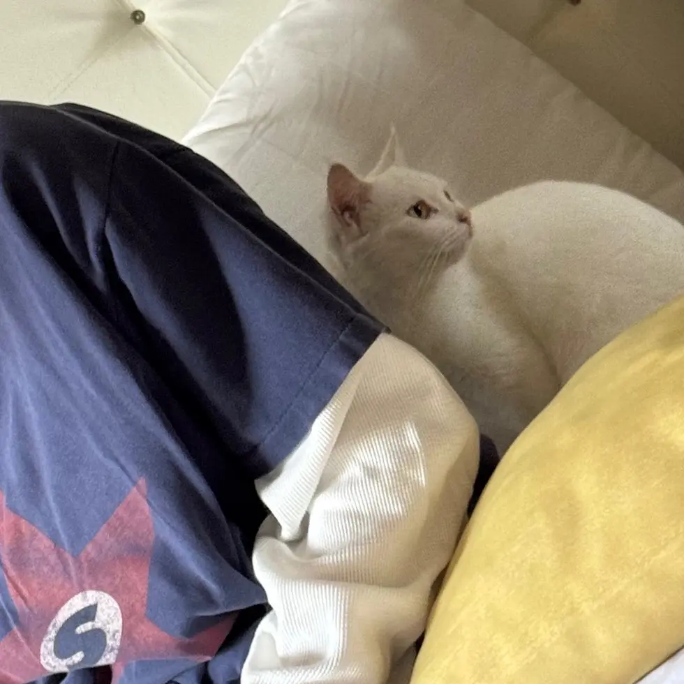 eyoung0220의 남고 담임 토쿠노