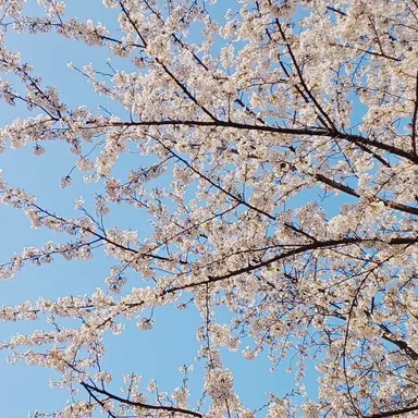 Profile image of 사자보이즈