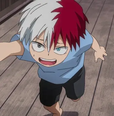 Profile image of Shoto Todoroki