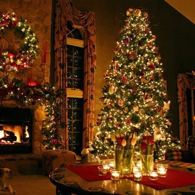 Profile image of 학생들