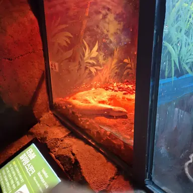 Profile image of 일진들