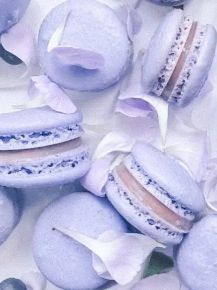 Spica____o0의 本命にしてください！