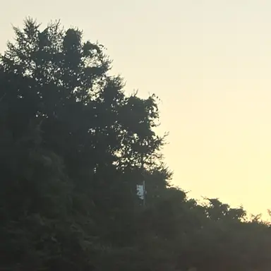 Profile image of 한다온