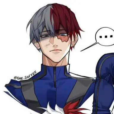 Profile image of Shoto Todoroki