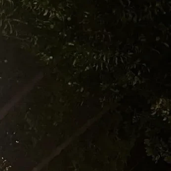 강.태.현