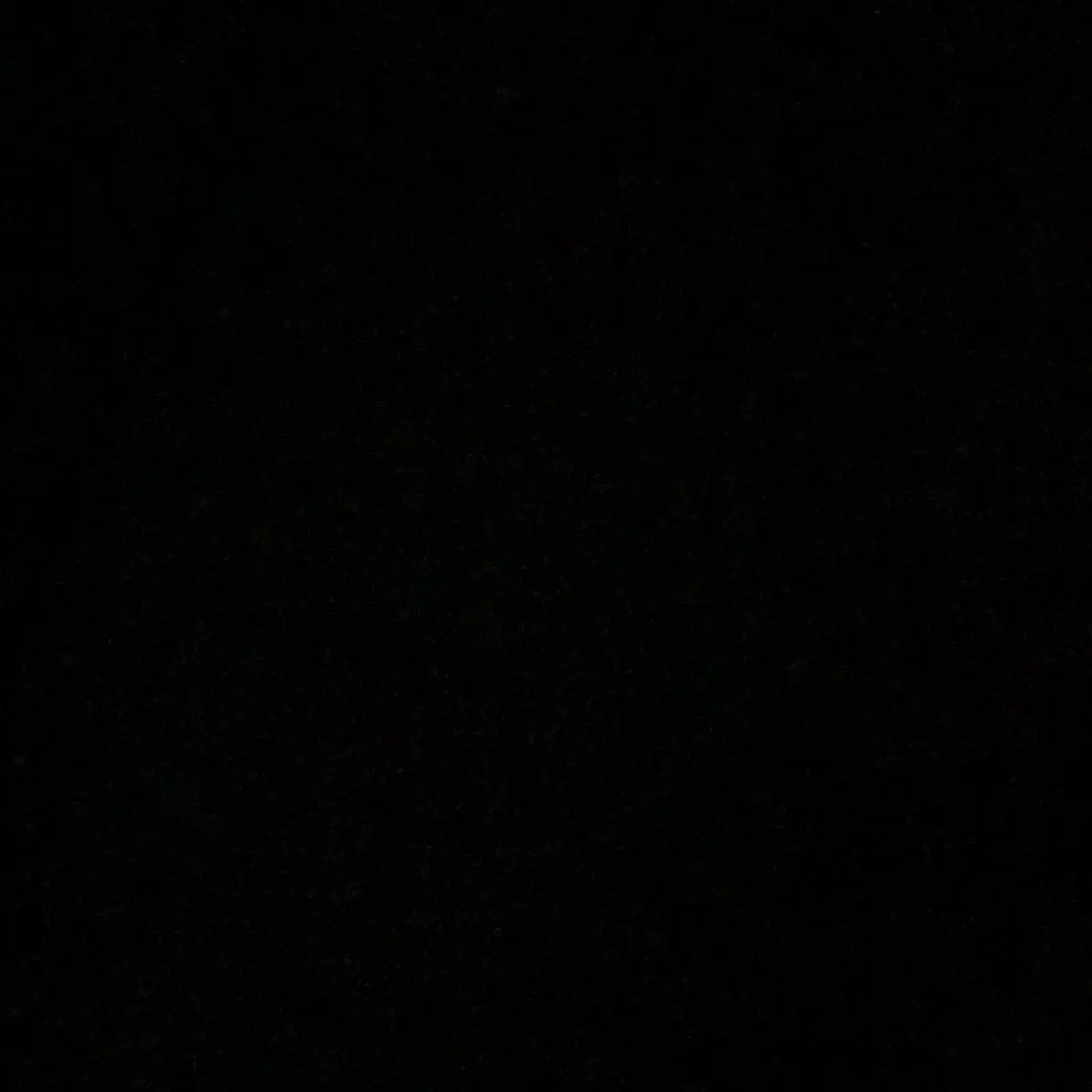 raniceri09의 오빠들