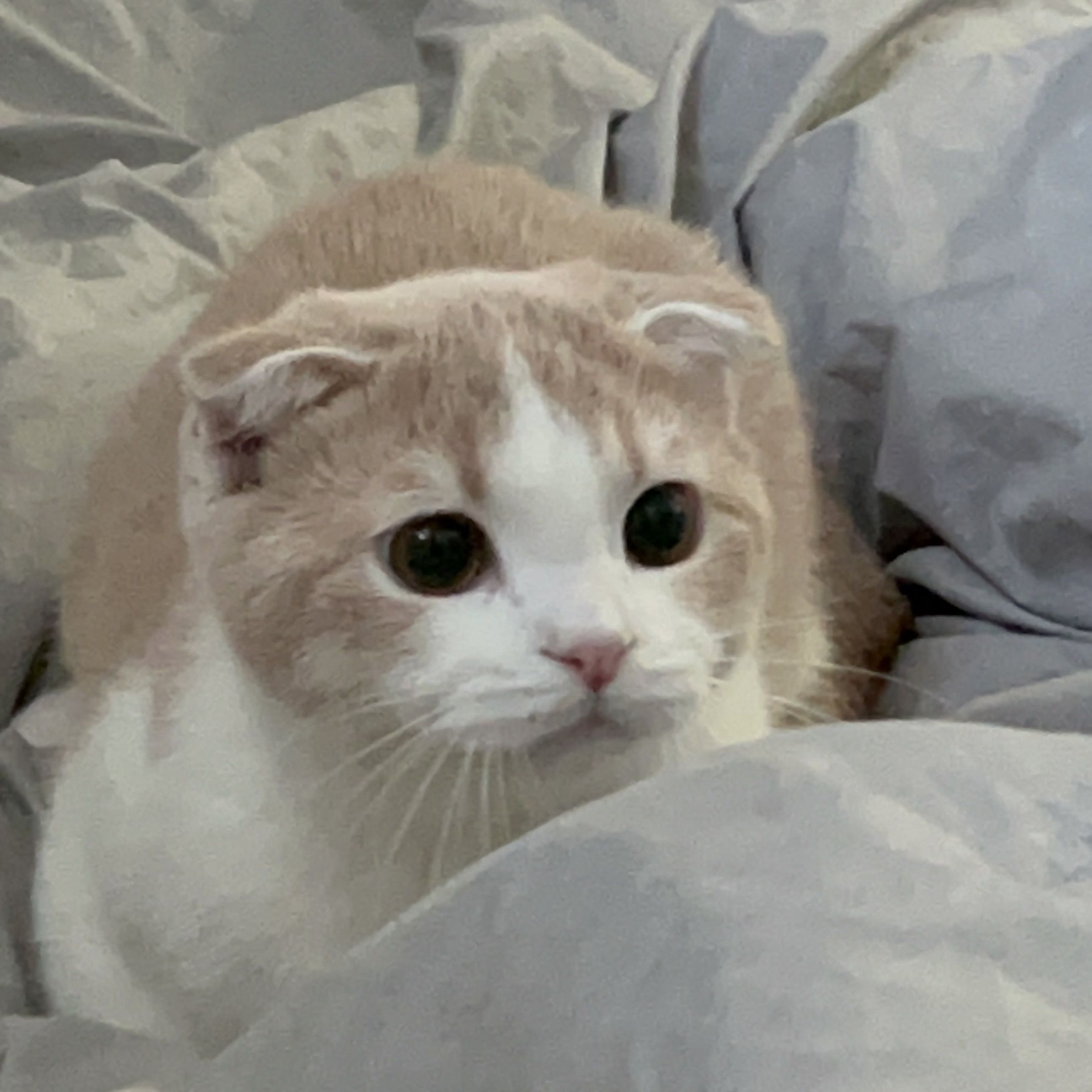 납치범들이 너무 잘생겼는뎁쇼?!💗 대표 이미지