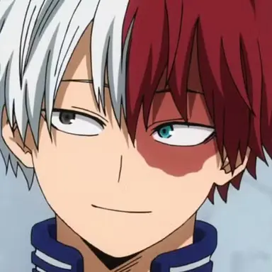 Profile image of Todoroki