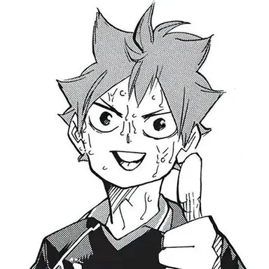 Profile image of Hinata Shoyo