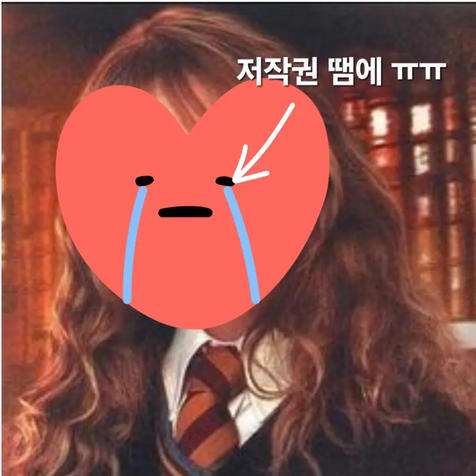 UsableFlask3993의 내가 헤르미온느 돼보기