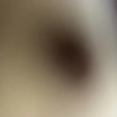 Profile image of 야