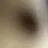 야