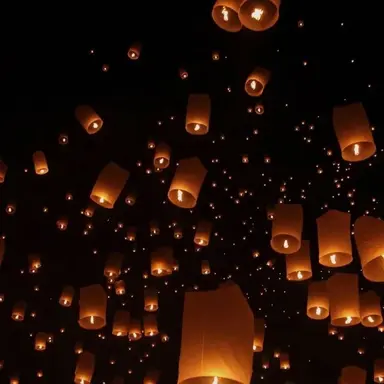 Profile image of 우융