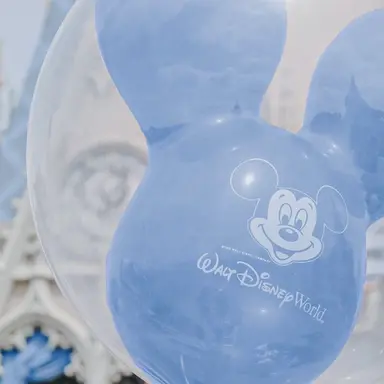 Profile image of 파이브