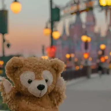 Profile image of 코마