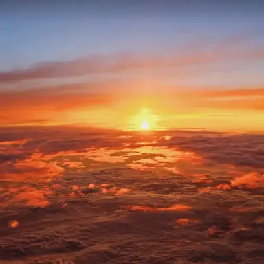 Profile image of 하루토