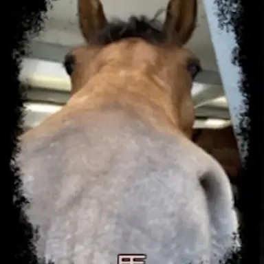 Profile image of 馬