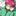 2年だけ