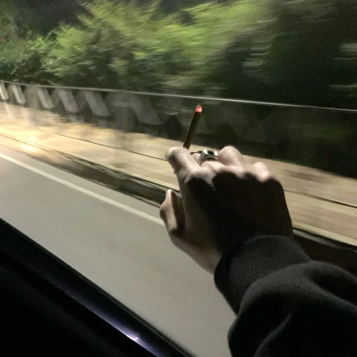 칼리엔 젤넛 (Kalien Zelnut)