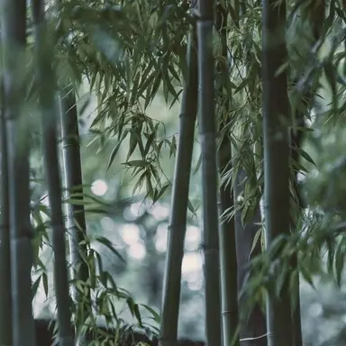 Profile image of 桂 小太郎