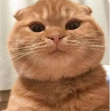 Profile image of 강영현