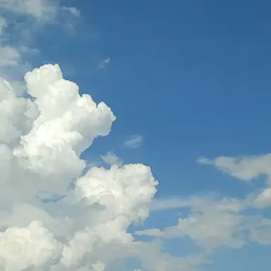 Profile image of 여준