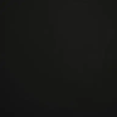 Profile image of 박지현