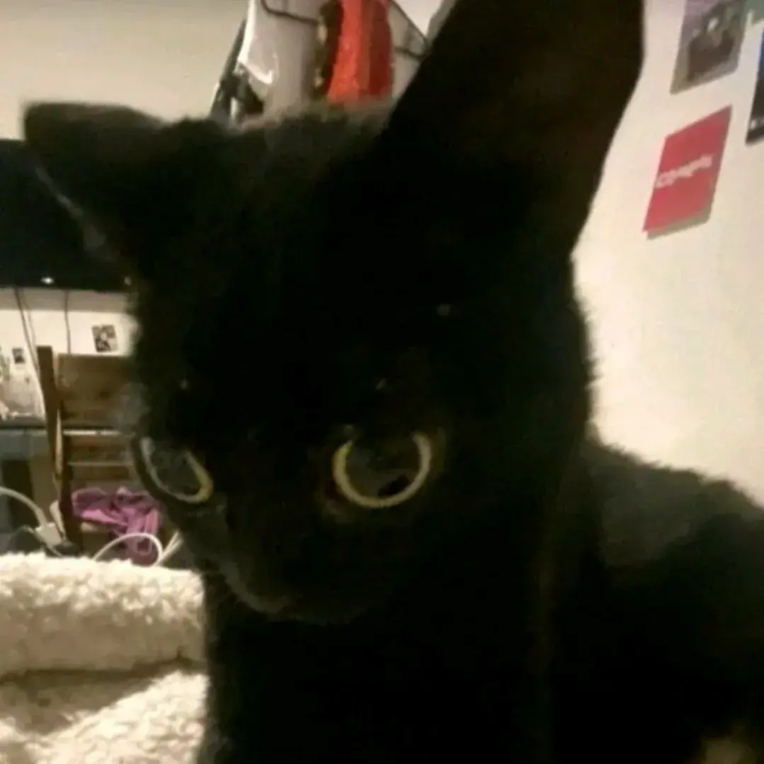 PlainBall1945의 141-Spike