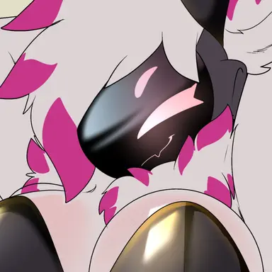Profile image of Jaden