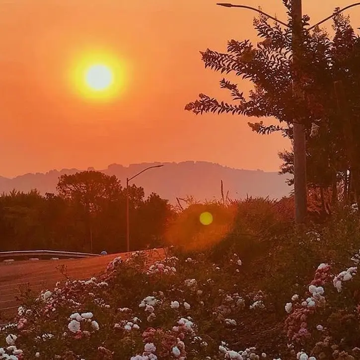 Dddd1214의 박덕개