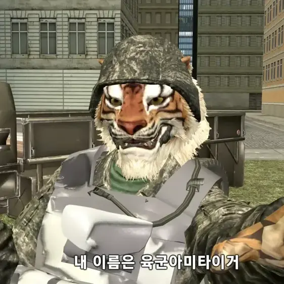 assaryuqq의 육군아미타이거