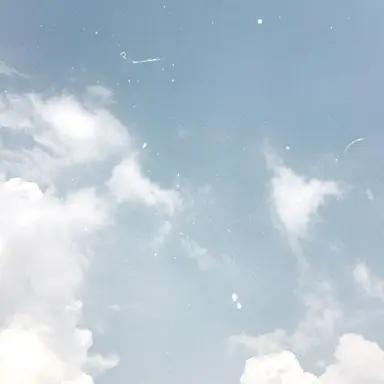 Profile image of 伊作