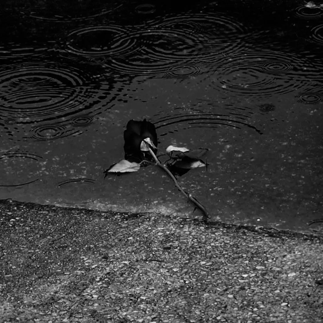 jeong_104의 expelled - jeong