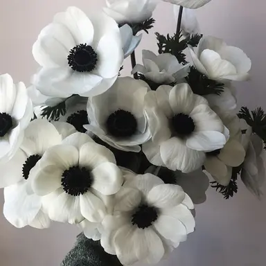 Profile image of 우연