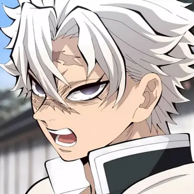 Profile image of 시나즈가와 사네미