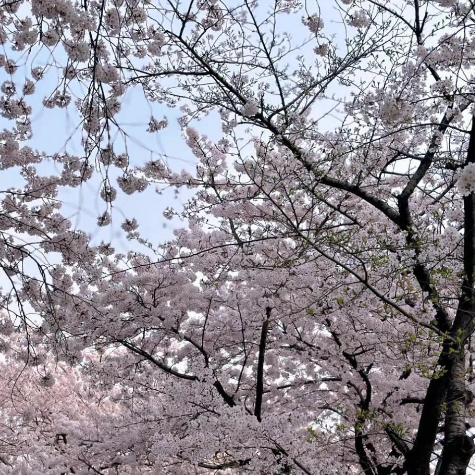 잘해보슈