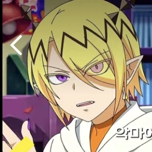 샥스 리드