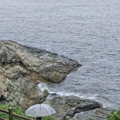 Profile image of 일진