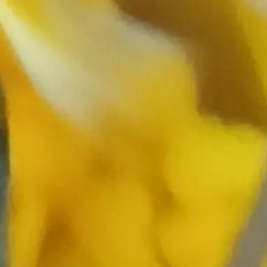 Profile image of 여우