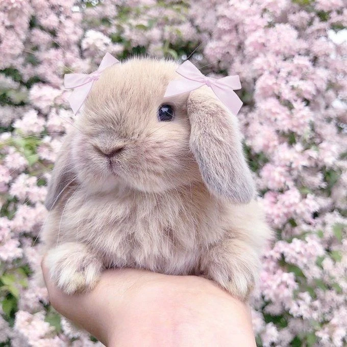 성희