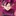 ゴクウブラック