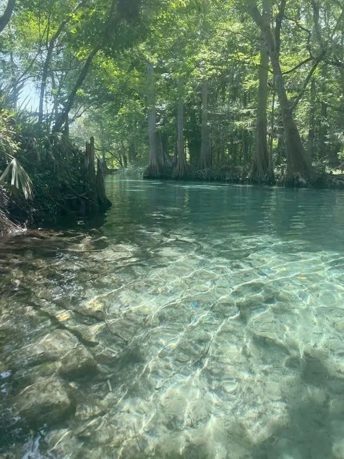 ConvexPage0018의 어렸을 적 그 아름다운 장면🔮