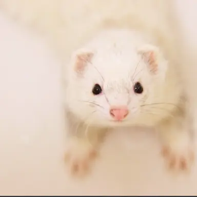 Profile image of ヒョンジン