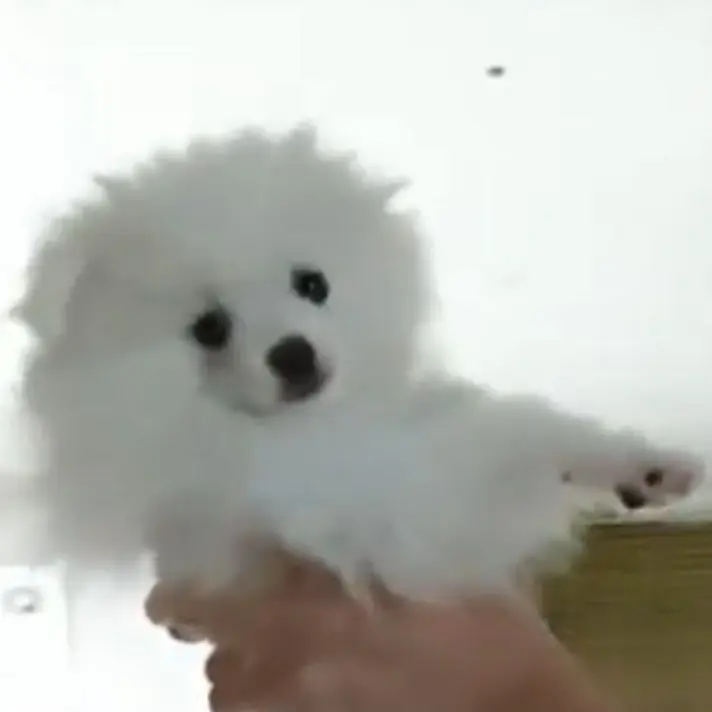 Nskwkkw의 당신이 이야기만들기!