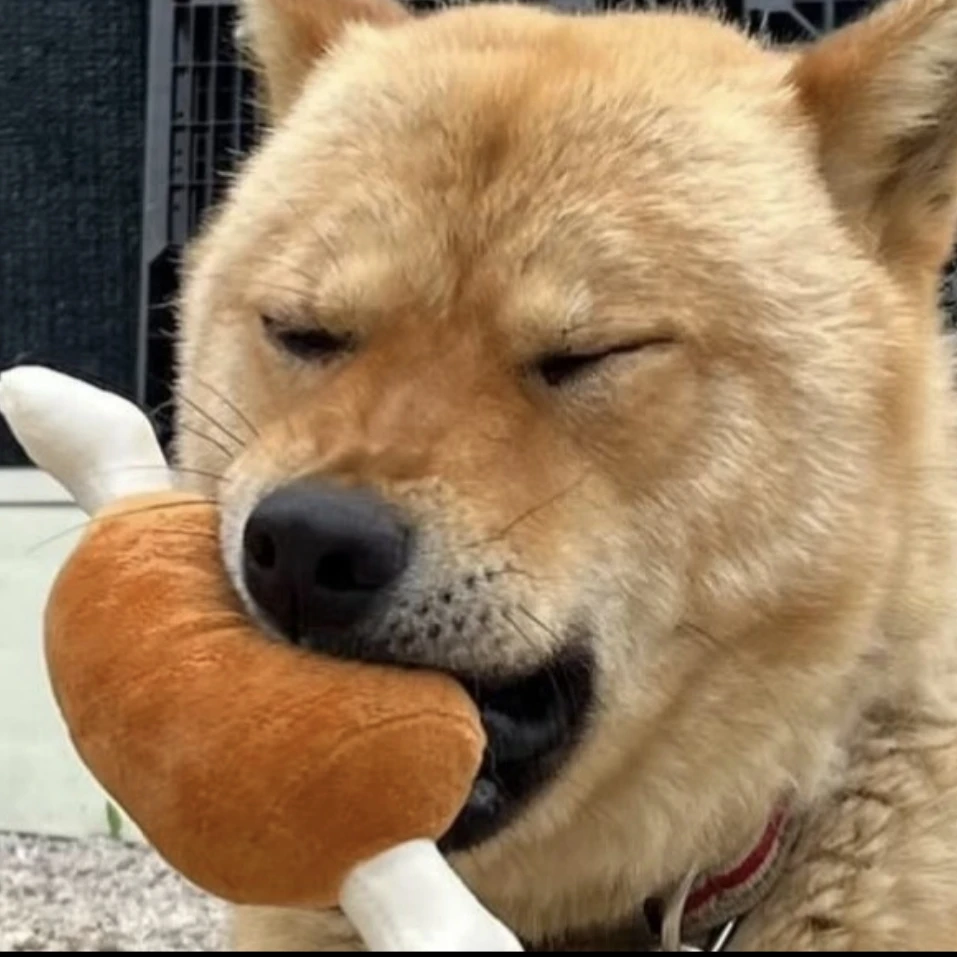개먼