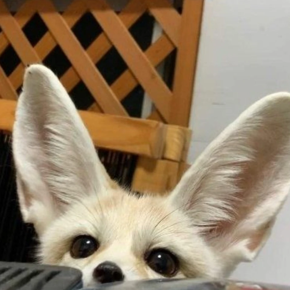 양정인