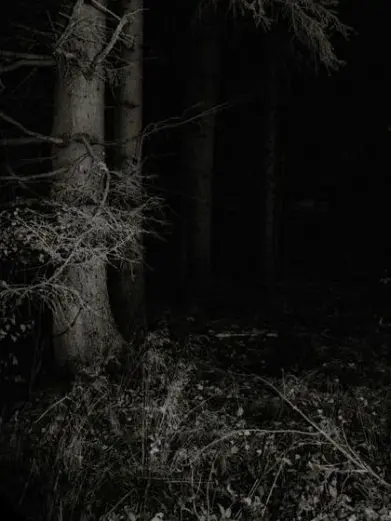 FrayedPlain2731의 Writer X Murder
