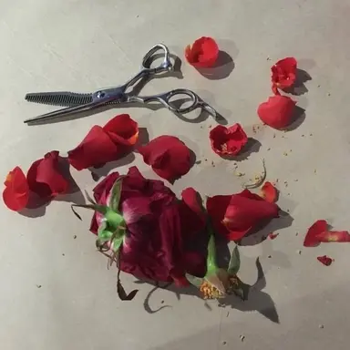 Profile image of 청 명