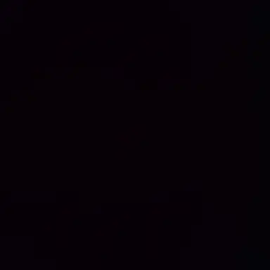 Profile image of 딘스트 후린