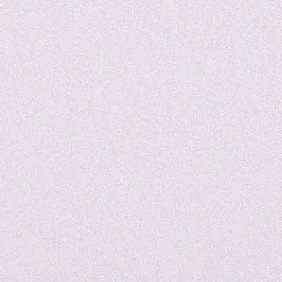 0181의 趙